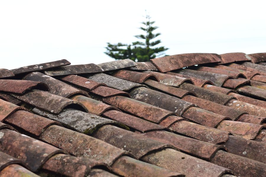 Close-up of roof shingle detail